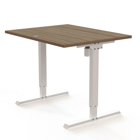 Biurko z elektryczną regulacją wysokości 501-20, 100x80 cm Biurko z elektryczną regulacją wysokości 501-20, 100x80 cm