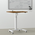 Biurko komputerowe regulowane 501-9, 100x60 cm